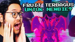 AKU DAPET BUAH PERMANEN PALING BAGUS BUAT PEMULA DI BLOX FRUIT!?