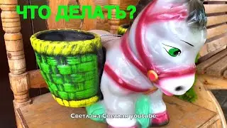 Что мне делать? 😱 Нужен ваш Совет ❤️ Фронт Работы