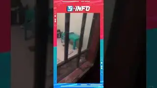 Terciduk 2 Pasang Sejoli Sedang Berduaan Di Kamar