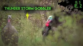 Episode 2: Lonesome Thunderstorm Gobbler at {11 STEPS} | Missouri Turkey Hunting 2023