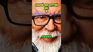 #разводпотелефону