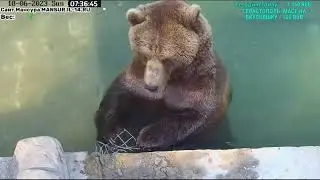 18.06.2023   