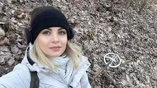 Коп у лісі, скарб монет )