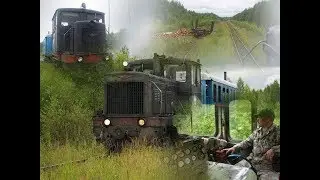 Поездка 59-й км - ст. Кобра в кабине ТУ4-2193. Кобринская УЖД