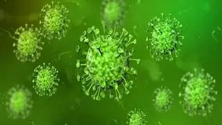Green screen Animated 3D Model Corona Virus l Corona Virus Motion Bg