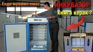 Инкубатор Кимга Керак Булса Энди Муаммо Эмас...