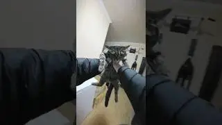 Это наша Хина, знакомьтесь😊 
