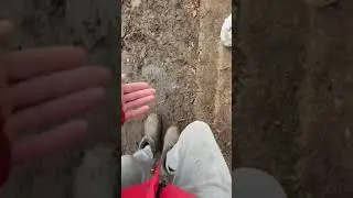 В мире животных с Айдаром