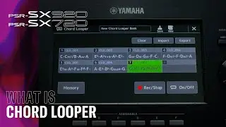 What Is Chord Looper