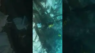 ШТОРМ размыл торговое судно Римской эпохи... 
