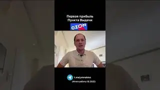 Прибыль Пункта Выдачи Ozon за 1 месяц. Отчёт за Октябрь 2022  