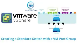 Creating a Standard Switch with a Virtual Machine Port Group | Attach Virtual Machine to port group