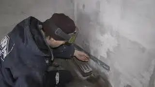 Жив    Цел    Орёл