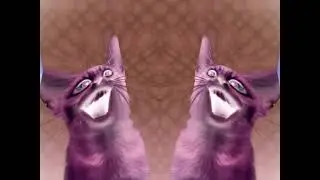 Preview 2 Numa Cat effects 3 In Blind