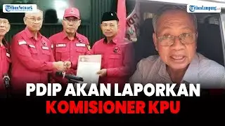 Cegah Kotak Kosong di Pilkada Lampung Timur, PDIP Akan Laporkan Seluruh Komisioner KPU