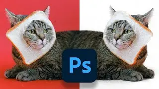 How To Remove a Background In Photoshop