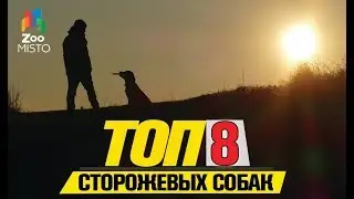 Топ 8 сторожевых собак| Top 8 Guard Dogs
