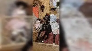 Вязаные картины Ирины Картамышевой