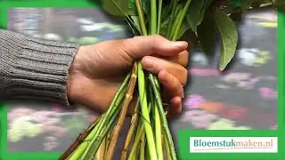 Cursus Bloemschikken Leren - Stap voor Stap!