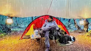 CAMPING in RAIN - TENT - Dog