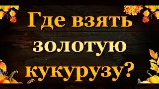 Fishing Planet. В погоне за Золотой Индейкой - Где взять золотую кукурузу?