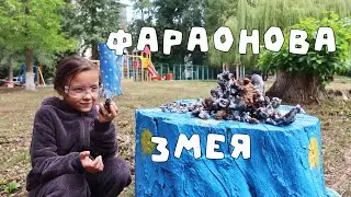 ПЕПЕЛЬНЫЙ ДРАКОН 🐉 растущий вулкан / Эксперименты PRO опыты 7 в 1