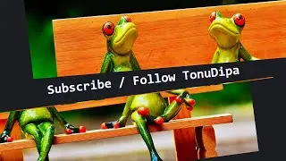 Simple Javascript Scroll Animation In Bengali @tonudipaCoding
