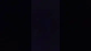 Южная ночь, оглушительные рулады цикад