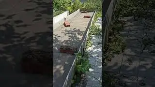 Грядки с бортами из шифера своими руками