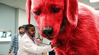 Despertar con un lindo cachorro gigante | La escena más divertida de Clifford, el perro rojo 🌀 4K