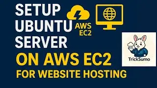 Setup Ubuntu Server On AWS EC2 For Website Hosting - WordPress On Cloud E1