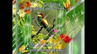 Доброго Апрельского дня! Весеннего настроения!