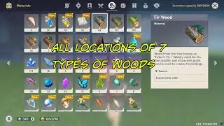 Where to find the 7 types of woods - GENSHIN IMPACT