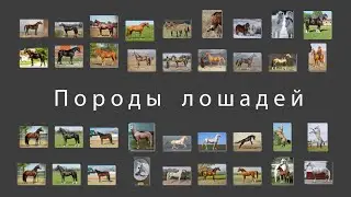 Семинар 