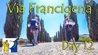 Walking the land of endless vineyards in Tuscany | Day 12 of Via Francigena to San Quirico d'Orcia