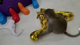 Настроение сегодня-торнадо 🤣