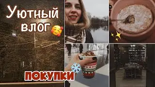 ВЛОГ - УЮТ💡Первый снег ❄️ КНИЖНЫЙ ИЗ ХОГВАРТСА | Кекс в кружке 🍪 Покупки 😍 Tanya Brighter