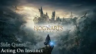 Hogwarts Legacy ★ Side Quest: Acting On Instinct [Walkthrough]