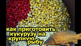 КУКУРУЗА ДЛЯ РЫБАЛКИ👍,РЕЦЕПТ,КУКУРУЗА ДЛЯ ДИКИХ РЕК👍.corn for fishing,csl,прикормка,
