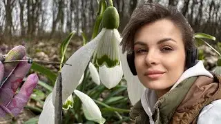 Весняний коп, вістря та камені