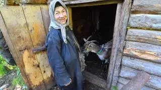 daily routine of Agafia Lykova the hermit. lives like 300 years ago!