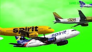 Airplane Stampede Green Screen | 4k