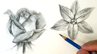 Drawing and Shading Flower