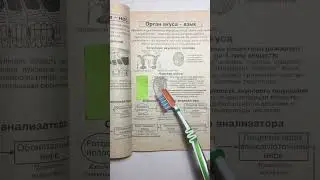 Пробуем пищу на язычок👅 