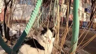ул Ленина .бывший кинотеатр Дружба.стрелковый тир .дворы
