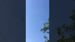 Когда не успел на самолет 😜  #новая  #новинка