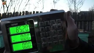 Майский мёд будет!  7.3кг принос за сутки.
