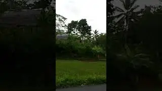 Sungguh indah!!jalan desa wisata religi pamijahan-tasikmalaya#shorts