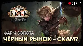 Чёрный рынок "забрал" все мое золото. Ледяные клинки ★ FB Warden ★ POE 3.25: Поселенцы Калгуура
