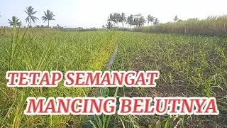 TETAP SEMANGAT mancing belut meskipun kemarau 